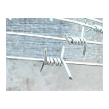 Factory Directly Sale Barbed Wire/Razor Barbed Wire/Cheap Barbed Wire